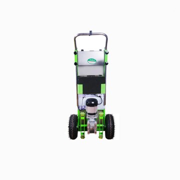 Carrello Elettrico Saliscale